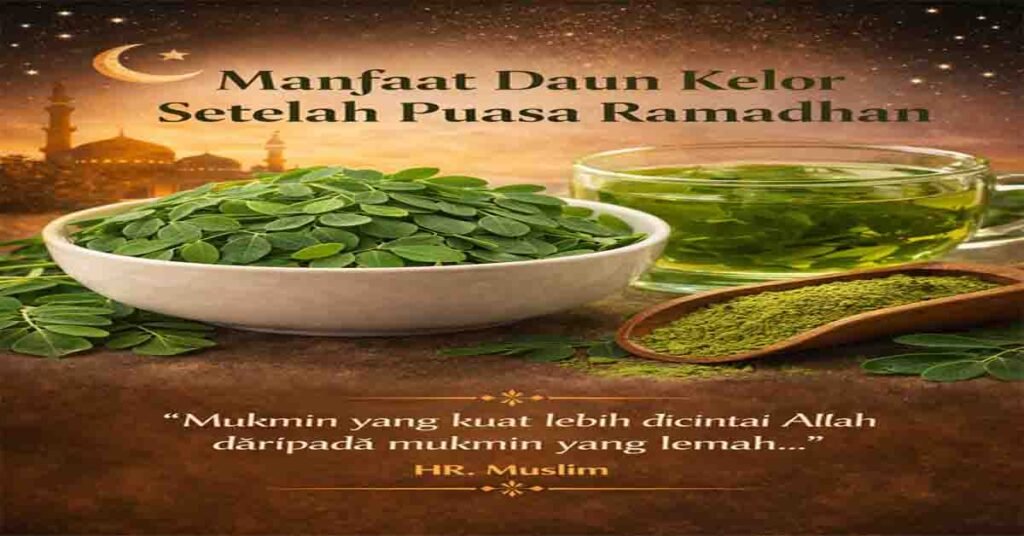 manfaat daun kelor untuk kesehatan