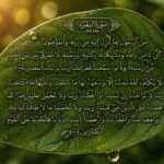 ea98408b-6c57-4fb1-a35f-60342af80cc6