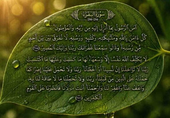 ea98408b-6c57-4fb1-a35f-60342af80cc6